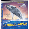 Humpback Whales - Shout! Factory