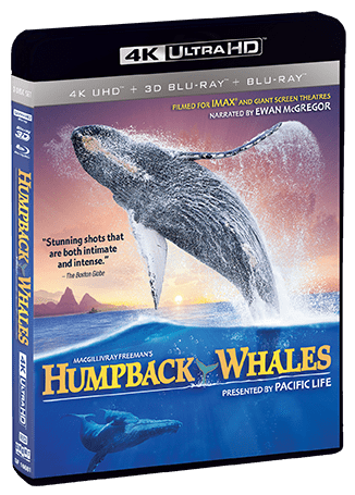 Humpback Whales - Shout! Factory