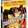 Tarantula - Shout! Factory